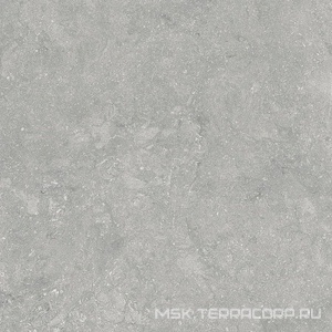 Керамогранит для пола и стены Alpas 2 CM Outdoor Fossil Gris 2 cm 60x60 n160826