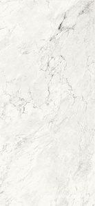 Керамогранит для пола и стены La Faenza Aesthetica AE CAL6 260 LP 120x260 XX n140744