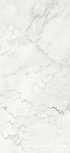 Керамогранит для пола и стены La Faenza Aesthetica AE CAL6 260 LP 120x260 XX n140744