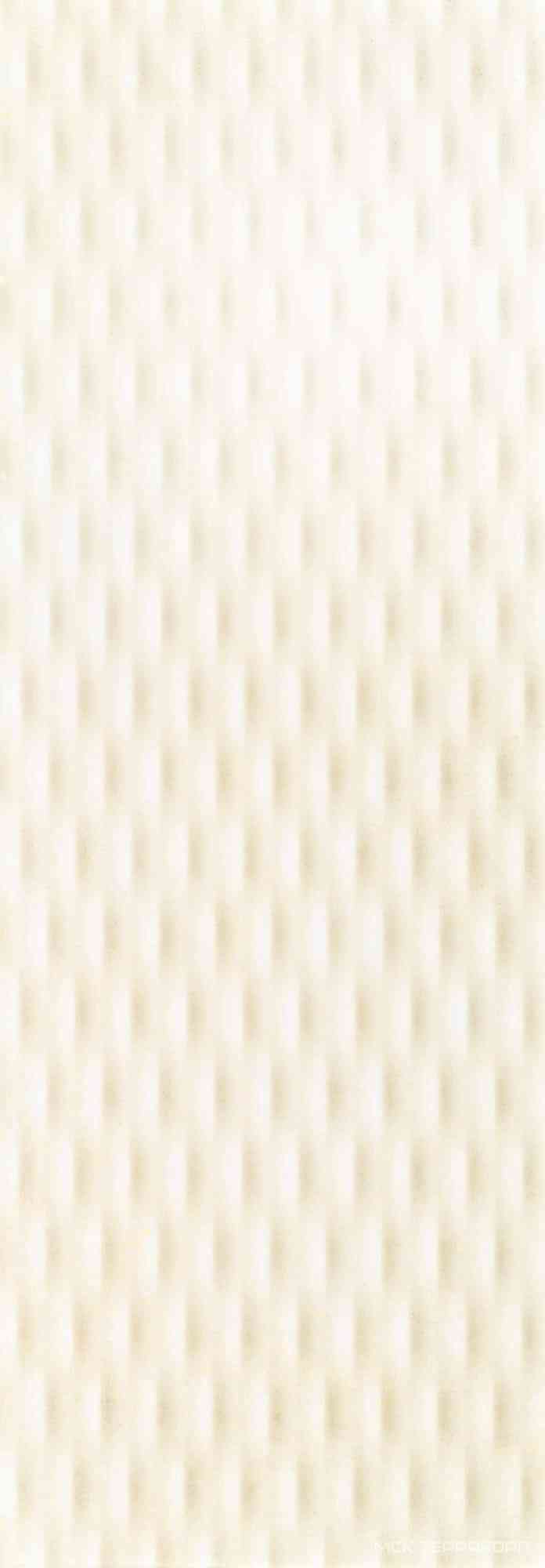 Metallic Grain Platinum ret.XX 35x100
