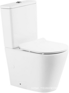 Чаша напольного, безободкового унитаза, (крепеж к полу в компл.),  BelBagno Flay-R BB2149CPR