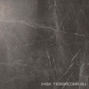Керамогранит для пола и стены Atlas Concorde Italy Marvel  Grey Stone Lappato 75x75 XX ADPY