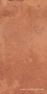 Керамогранит для пола и стены Gambini Heartland Terracotta 30x60.3 n172503