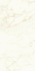 Marvel Calacatta Delicato Lappato|60x120