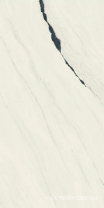 Керамогранит для пола и стены AtlasConcorde Россия FORTE DEI MARMI F.d.M. Panda White Rett 80x160/Ф.Д.М.  Панда Вайт Рет 80Х160 610010002709