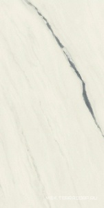 Керамогранит для пола и стены AtlasConcorde Россия FORTE DEI MARMI F.d.M. Panda White Rett 80x160/Ф.Д.М.  Панда Вайт Рет 80Х160 610010002709