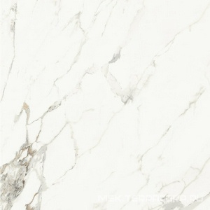 Керамогранит для пола и стены La Faenza Aesthetica AE CAP6 120 LP ( п.п.)120x120 182574