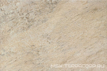 Oyster Marfil XX |40x60