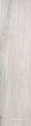 Acanto Bianco ZZ |20х120