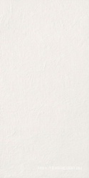 Chromagic Tasty Oyster rett.ZZ|60x120