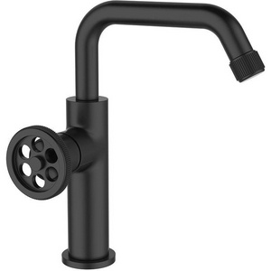 Смеситель для раковины, высота излива 220 мм, без д/к, цвет черный,  ZZ Paini Grazia 21PZ205LL
