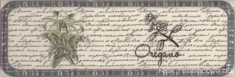 Decor Clasical Herbs Oregano ZZ |10x30