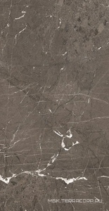 Керамогранит для пола и стены Florim Magnum Heritage Luxe Heritage Brown Glossy 60x120 774851