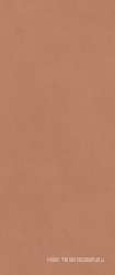 Boost Expression Sienna ZZ 50x120