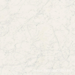 Bianco Gioia Lev Rett (п.п) ZZ |60x60