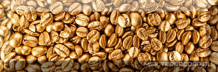 Decor Coffee Beans 02 XX 10x30