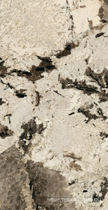 Керамогранит для пола и стены Florim Heritage Luxe Heritage Flame Glossy 60x120 775054