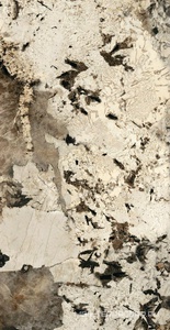 Керамогранит для пола и стены Florim Heritage Luxe Heritage Flame Glossy 60x120 775054