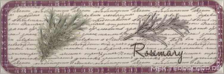 Decor Clasical Herbs Rosemary ZZ|10x30