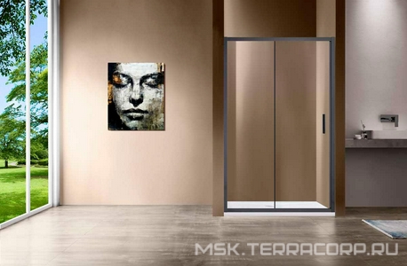 Дверь для душа, в нишу 1200хh1900мм, раздвижная, 1 дверь, 1 неподв.секция, правая/левая, (стекло прозрачное 6мм, фурн.цв.,вороненая сталь),  ZZ Vincea Garda VDS-1G120CLGM