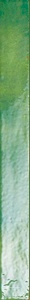 Керамогранит для стены Sadon Colors  Green 4,8x45 J92076