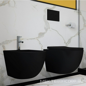 Клавиша двойного смыва для инстал., д/унитаза, (пластик цв.черный матовый),  Aqueduto Circulo CIR0140