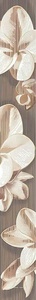 Декор Azori Amati Бордюр  PLUMERIA  I50.5x6.2 584191003
