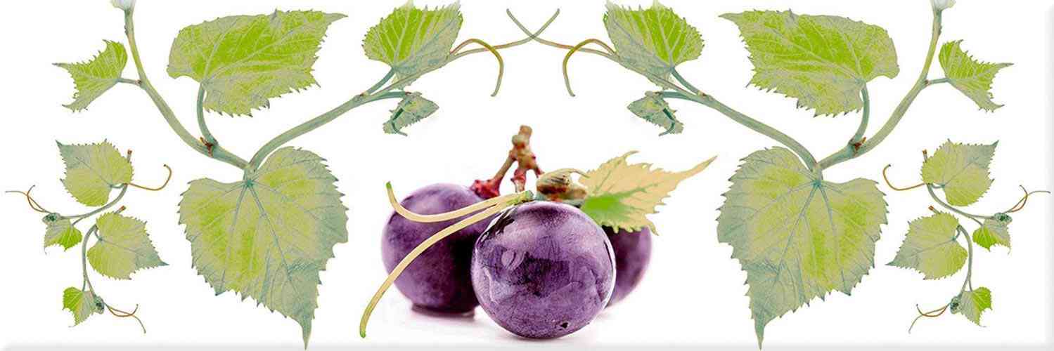 Decor Grapes 03 XX |10x30