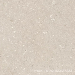 Shellstone Beige 120x120