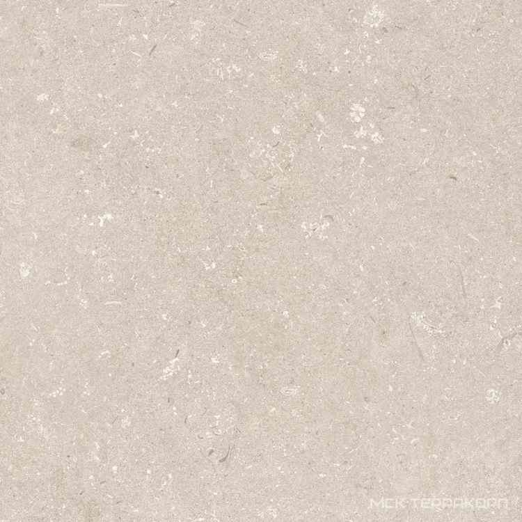 Shellstone Beige 120x120