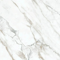 Керамогранит Harmony G-3013 мат.белый XX 60x60