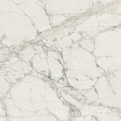 Mountain Treasure Glossy XX 80x80