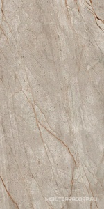 Керамогранит для пола и стены AtlasConcorde Россия EMPIRE Empire Silver Root Rett 60x120 Lapp/ЭМПАИР СИЛЬВЕР РУТ РЕТ 60x120 ЛАП 610015000618