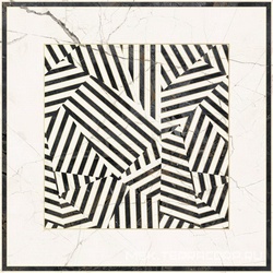 Zebra6 120LP  XX 120x120