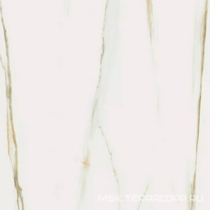Керамогранит для пола и стены Florim I Classici di Rex Сalacatta Gold Glossy 60х60 750719