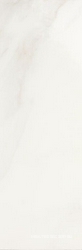 Evolution Marble Calacata Oro XX 32.5x97.7