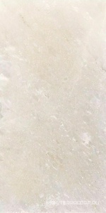 Керамогранит для пола и стены Florim Rock Salt   White Gold lucido 60x120 765855