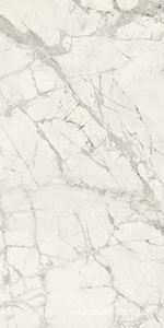 Керамогранит для пола и стены FMAX FMAX Gold River Snow glossy  90x180 F918G10115