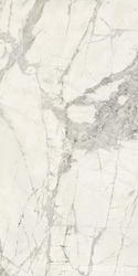 Gold River Snow glossy  90x180