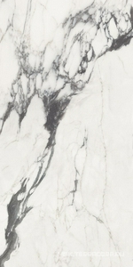 Керамогранит для пола и стены FMAX FMAX Michelangelo glossy 90x180 F918G10114