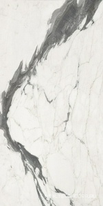 Керамогранит для пола и стены FMAX FMAX Michelangelo glossy 90x180 F918G10114