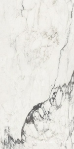 Керамогранит для пола и стены FMAX FMAX Michelangelo glossy 90x180 F918G10114