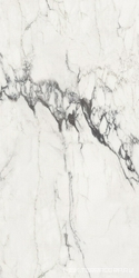 Michelangelo glossy 90x180