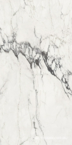 Керамогранит для пола и стены FMAX FMAX Michelangelo glossy 90x180 F918G10114