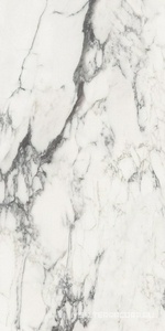 Керамогранит для пола и стены FMAX FMAX Michelangelo glossy 90x180 F918G10114