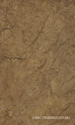 Rotterdam brown wall 02 XX|30x50