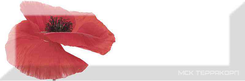 Decor Poppy 01 XX |10x30