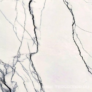 Керамогранит для пола и стены Florim Magnum B&W Marble Breach Nat 120x120 765566 