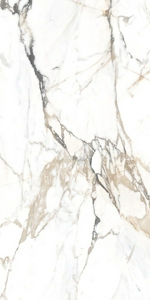 Керамогранит для пола и стены Alpas Euro Eco Marble  6582 Polished 60x120 n167692