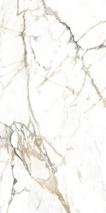 Керамогранит для пола и стены Alpas Euro Eco Marble  6582 Polished 60x120 n167692